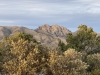 Cochise Head
