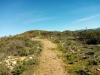 Whale Mountain