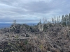 Jordan Ridge