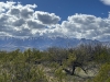 Graham, Mount