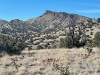 Red Mountain