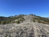 University Mountain