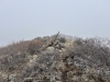 Gardner Peak
