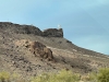 "Goat Hill"