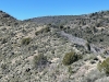 Woodchute Mountain