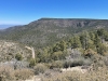 Mingus Mountain