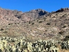 Bryce Mountain