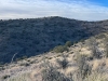 Turtle Mountain