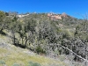 Hood, Mount