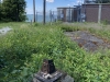 Lenox Mountain