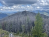Grizzly Mountain