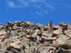 Homestake Peak
