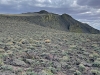 Trinity Peak