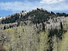 Baldy Mountain