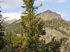 Washburn, Mount