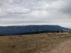 Big Pryor Mountain