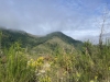 Sekiu Mountain