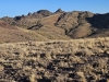 Parrot Peak