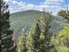 "Windy Peak"