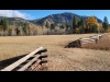 Grizzly Mountain