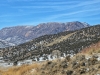 Poverty Mesa