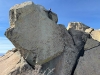 "Little Squaretop"