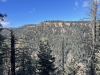 Sally Overlook