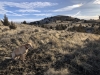 Maupin Butte