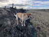 Wolf Mountain