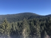 "Mt. Goodie"