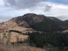 Nicholls Mountain