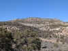 Black Ridge