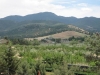 Tehachapi Mountain