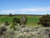 Black Ridge