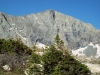 Ellingwood Point