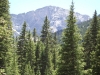 Ellingwood Point