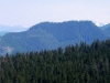 "Finicky Bluff"