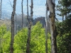 Chimney Rocks