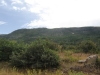 Oak Mesa