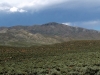 Ellen D Mountain