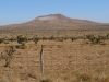 Deer Mountain