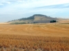 Ringo Butte