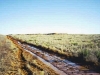 Cochran County HP