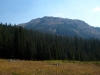 Timbered Hill