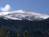 "Pine Ridge"