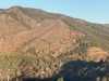 "Mount Dewey"
