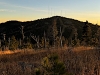 Terry Peak
