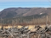 Escudilla Mountain