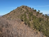 Maple Peak