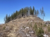Dobbs Mountain